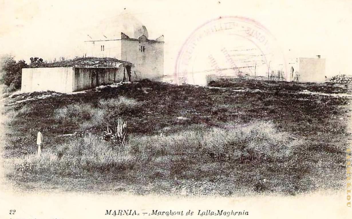 Marnia 206.jpg